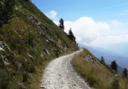 Progetto di valorizzazione della strada bianca lunga 40 chilometri  da Busca a Elva tra le valli Maira e Varaita